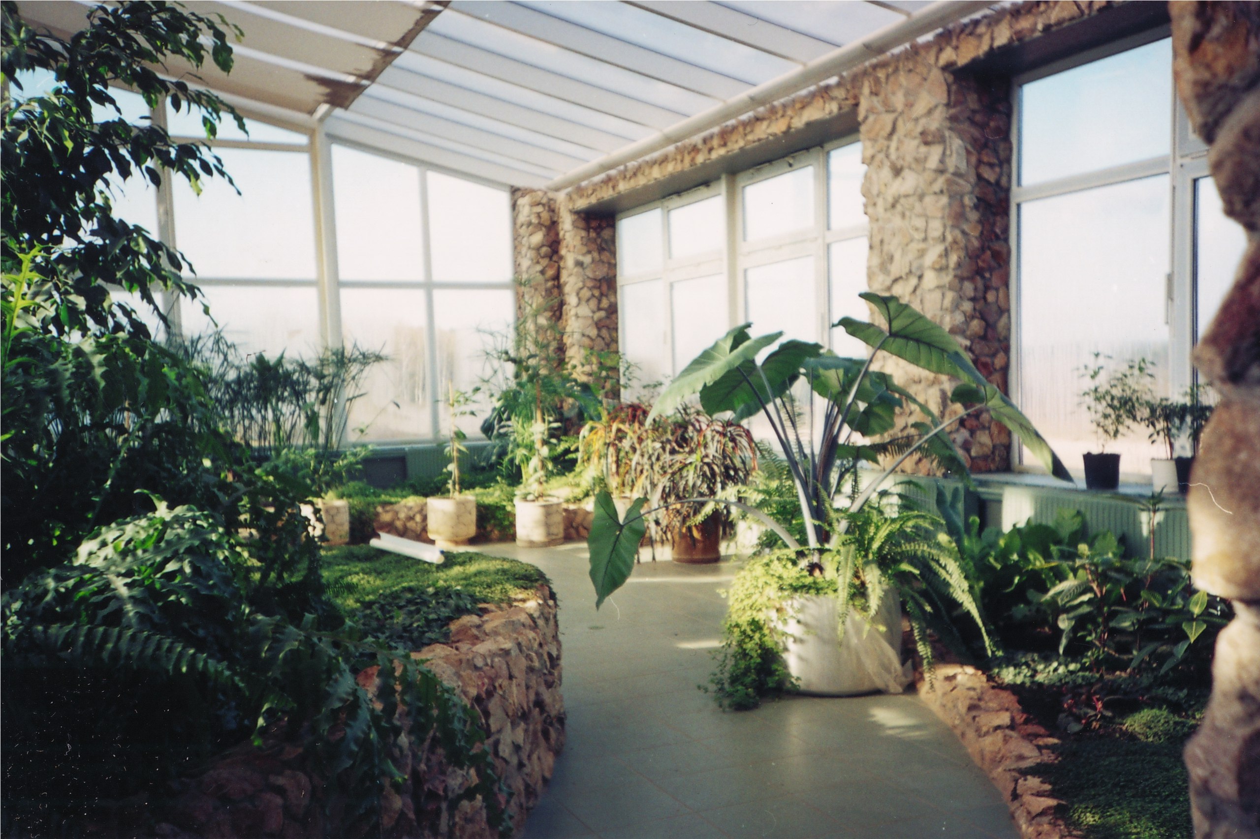 Зимние сады